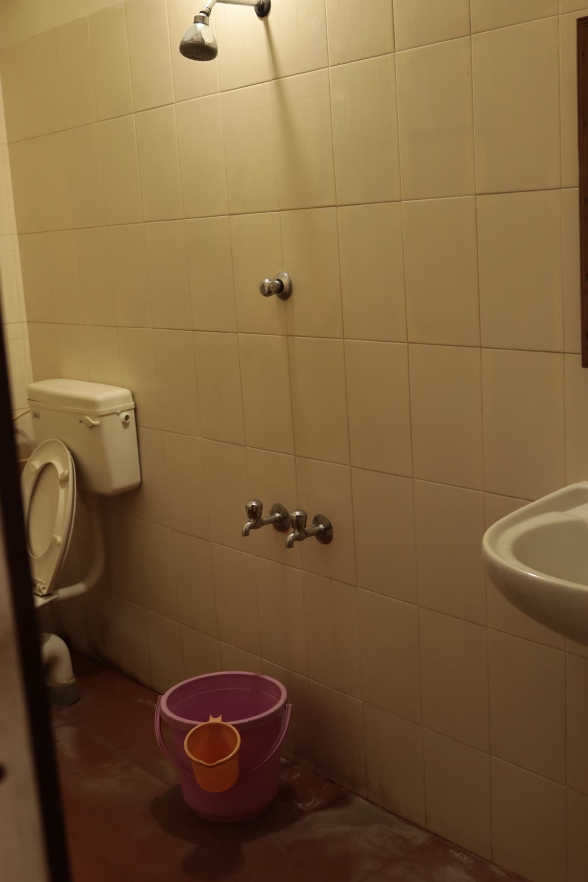 Bathroom with hot water shower and Western toilet